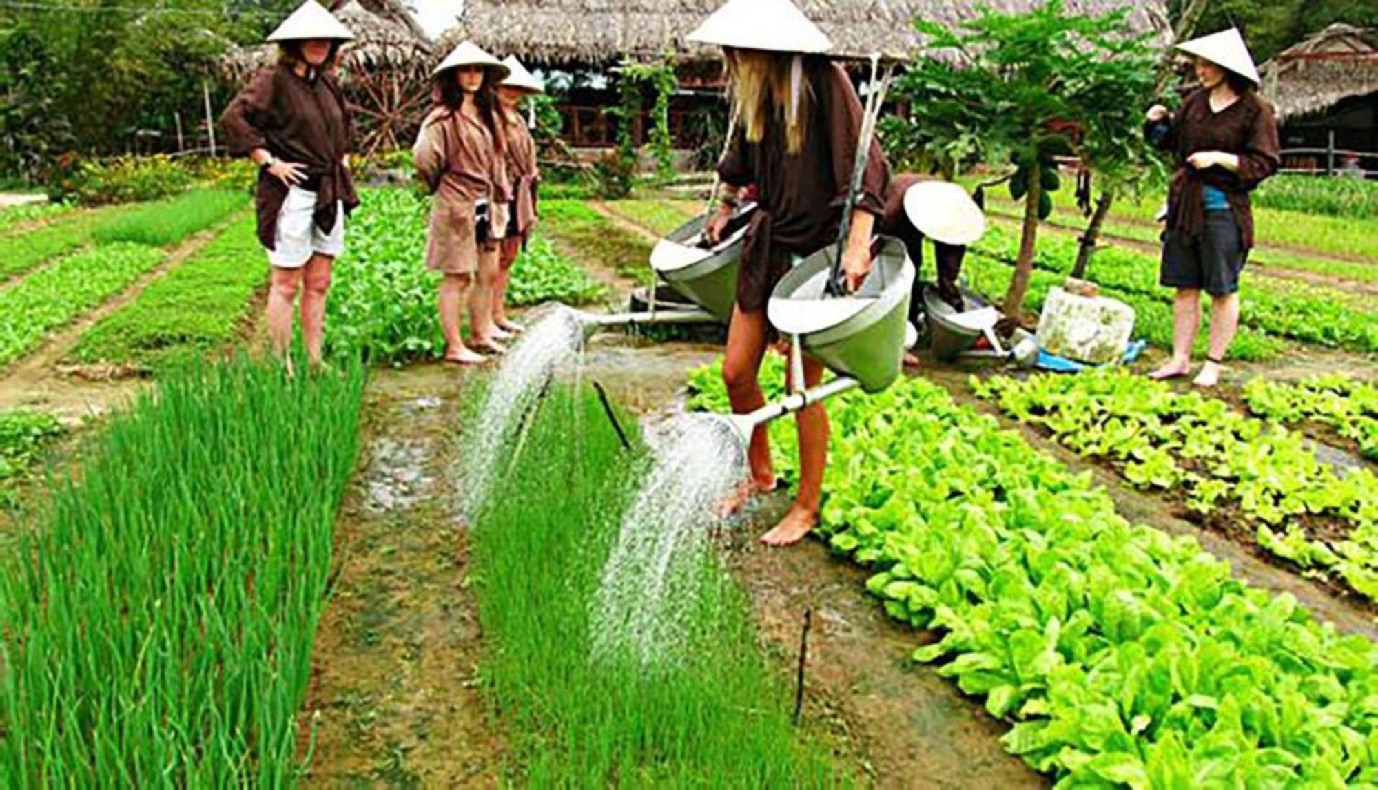 Qualia De Hotel Hoi An - Rooftop Bar City View Bagian luar foto